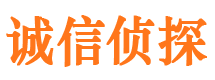 天全市侦探公司